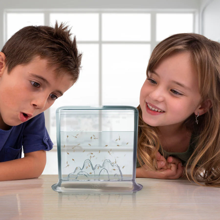 AQUA DRAGONS EGG UNDERWATER HATCH'N'GROW (Tablet Form)